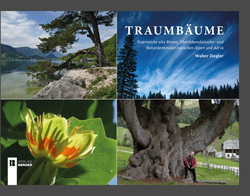 Logo:Traumbäume