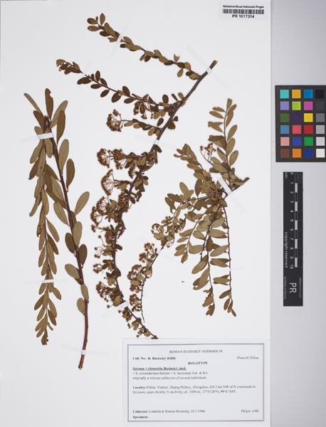 Phyton Vol. 64/65 E-Book S 75-84